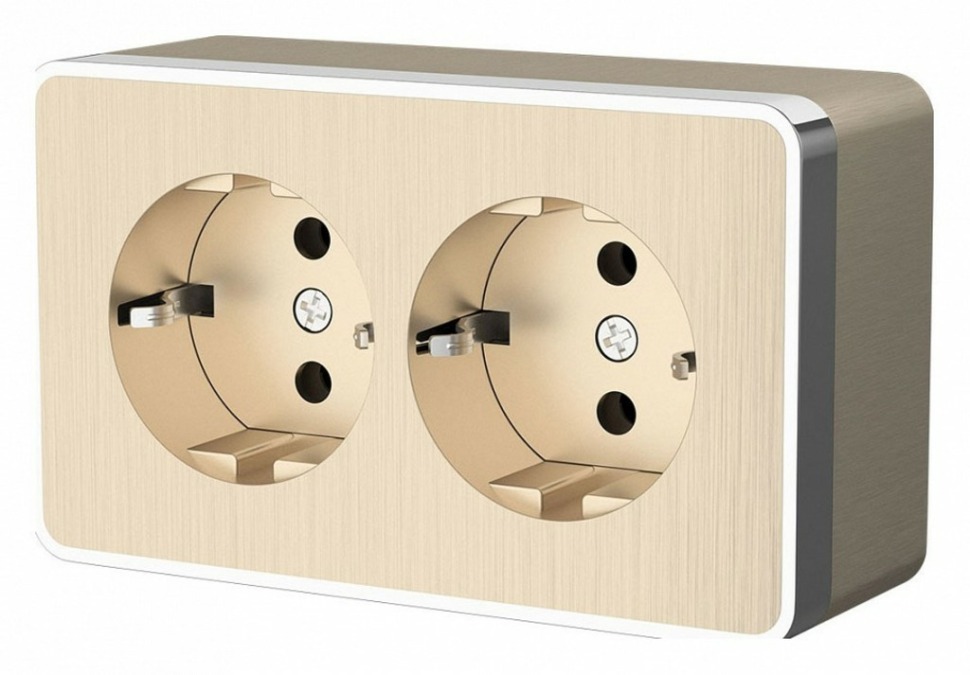 Фото Розетка двойная с заземлением Werkel Gallant (шампань рифленый) W5072110 WRK_a051037 - интернет-магазин МегаТерем в Москве