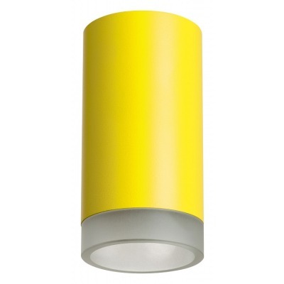 Накладной светильник Lightstar Rullo R43330 LS_R43330
