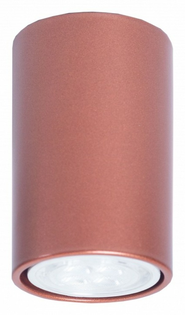 Фото Накладной светильник TopDecor Tubo 6 Tubo6 P1 20 RTPR_Tubo6_P1_20 - интернет-магазин МегаТерем в Москве