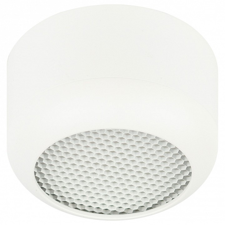 Фото Накладной светильник Эра  OL56 WH ER_B0061877 - интернет-магазин МегаТерем в Москве