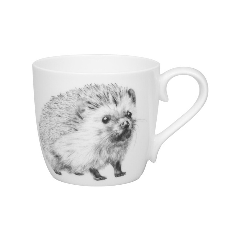 Кружка Удивительные животные - Ежик 11 2 057 2865 Фото Кружка Удивительные животные - Ежик 11 2 057 2865 - интернет-магазин МегаТерем в Москве