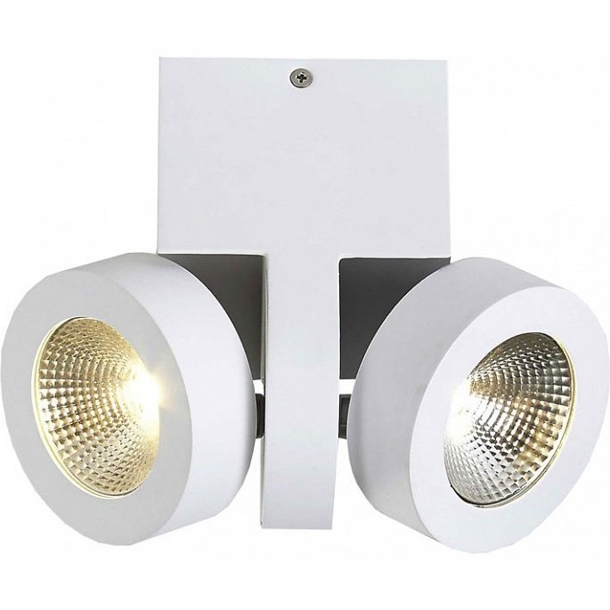 Фото Светильник на штанге Donolux DL18698 DL18698/12WW-White - интернет-магазин МегаТерем в Москве