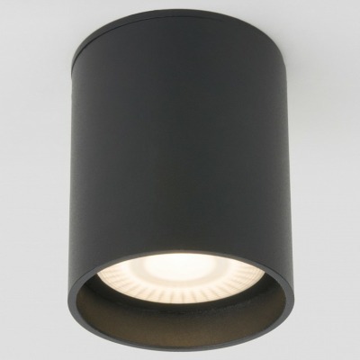 Накладной светильник Elektrostandard Light LED a056229 ELK_a056229