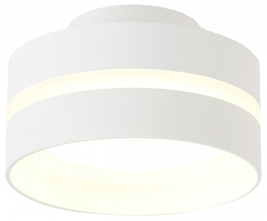 Фото Накладной светильник Ambrella Light TN TN5419 AMBR_TN5419 - интернет-магазин МегаТерем в Москве