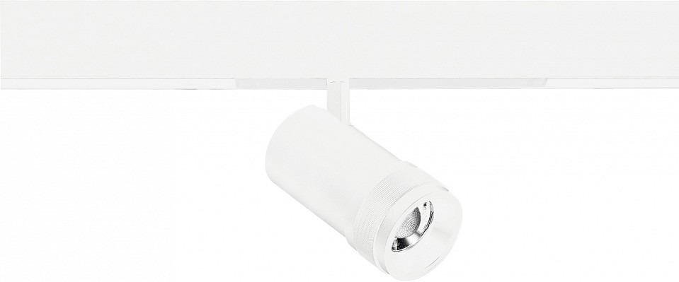 Фото Светильник на штанге ST-Luce SKYLINE 220 ST658.596.20 - интернет-магазин МегаТерем в Москве