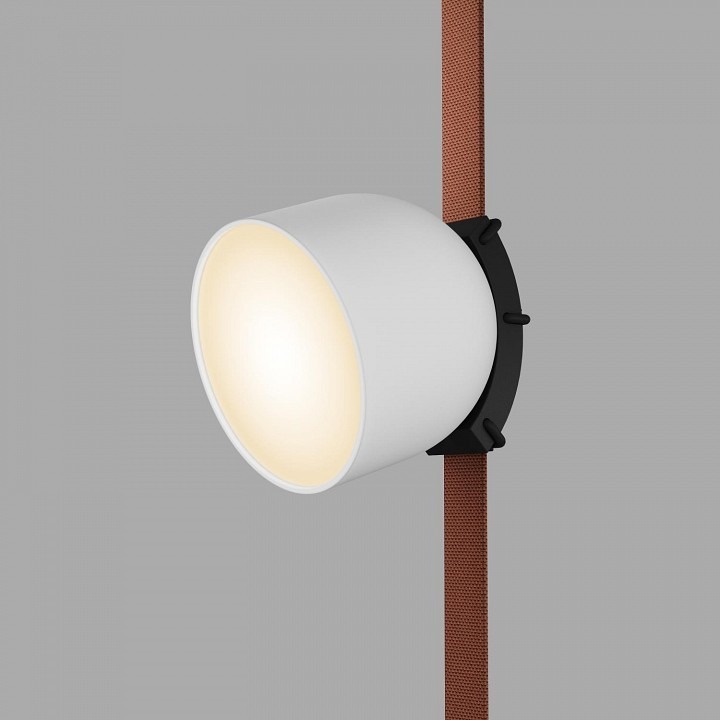 Фото Накладной светильник Denkirs BELTY SPOT DK5543-WH+BK DK_DK5543-WH_BK - интернет-магазин МегаТерем в Москве