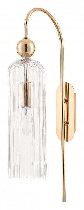 Фото Бра Rivoli Endora Б0066479 RVL_B0066479 - интернет-магазин МегаТерем в Москве