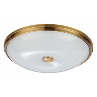 Накладной светильник Odeon ...