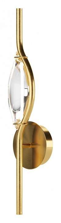 Фото Бра Maytoni Foresight MOD347WL-L8BS3K MY_MOD347WL-L8BS3K - интернет-магазин МегаТерем в Москве