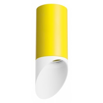 Накладной светильник Lightstar Rullo R43336 LS_R43336