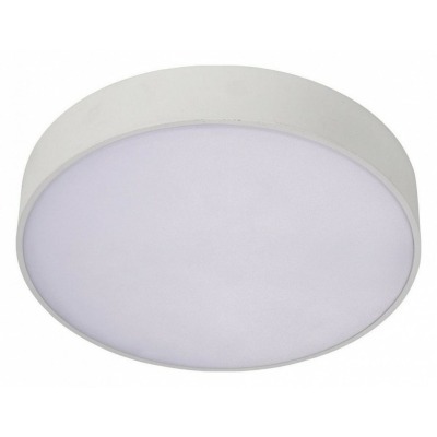 Накладной светильник Aployt Evon APL.0114.09.18 AP_APL.0114.09.18