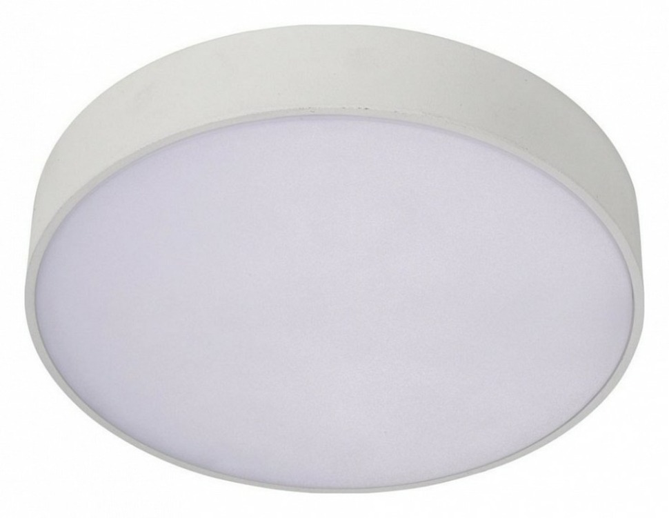 Фото Накладной светильник Aployt Evon APL.0114.09.18 AP_APL.0114.09.18 - интернет-магазин МегаТерем в Москве