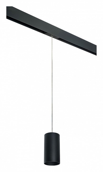 Фото Подвесной светильник Lightstar Rullo PRORP6487 LS_PRORP6487 - интернет-магазин МегаТерем в Москве