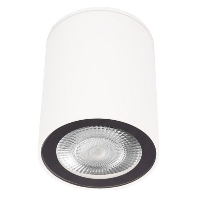 Накладной светильник Loft it Rush 10344 White LF_10344_White