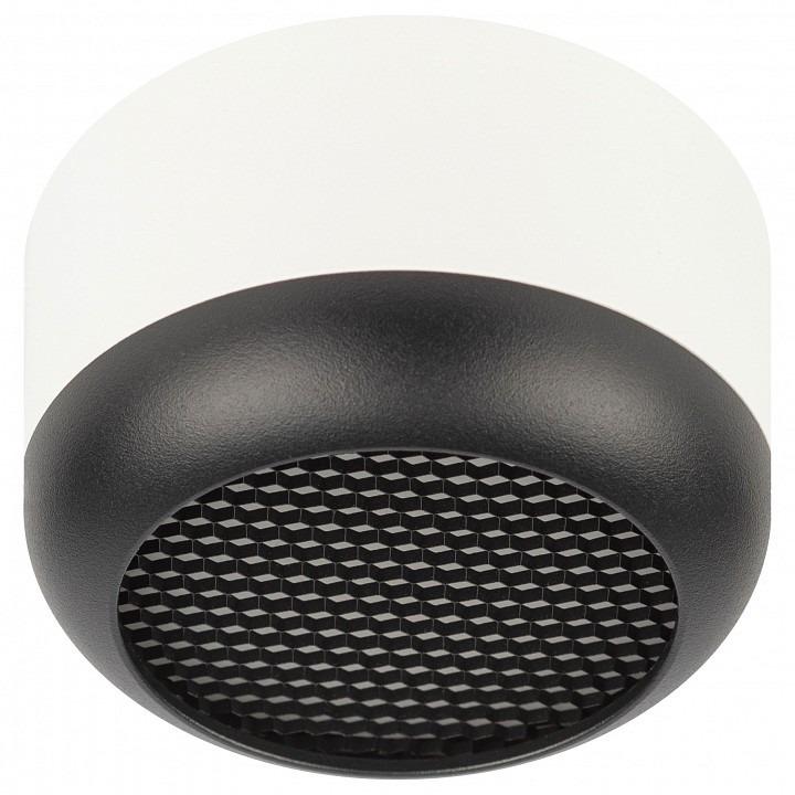 Фото Накладной светильник Эра  OL56 WH/BK ER_B0061881 - интернет-магазин МегаТерем в Москве