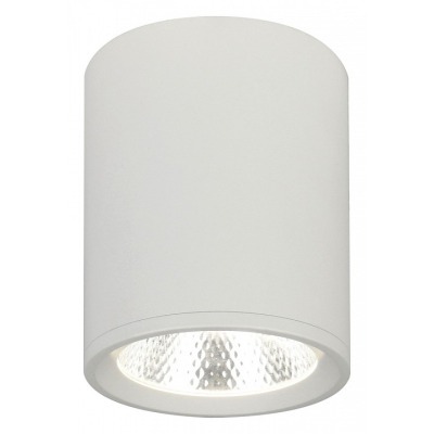 Накладной светильник Escada 20003 20003SMU/02LED SWH ESC_20003SMU_02LED_SWH