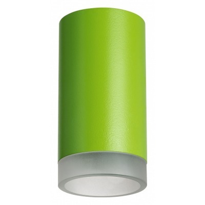Накладной светильник Lightstar Rullo R43430 LS_R43430