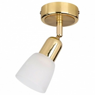 Спот Escada Fabius 5039/1PA...