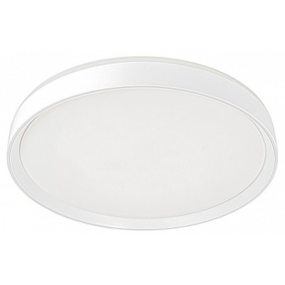 Накладной светильник Citilux BOSS CL751450G