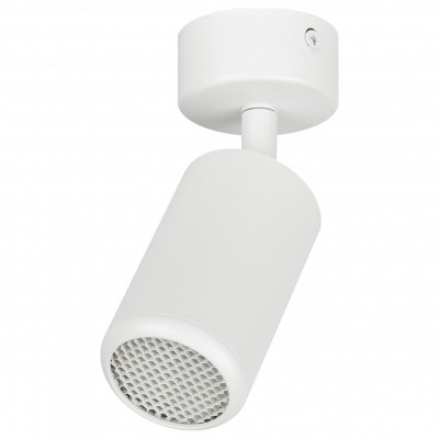 Спот Эра  OL55 WH ER_B0061883