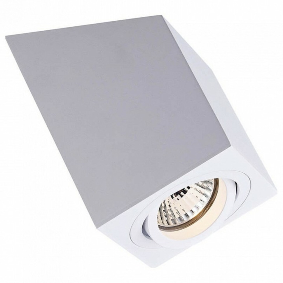 Фото Спот Zumaline Roncub ACGU10-136 ZUMA_ACGU10-136 - интернет-магазин МегаТерем в Москве