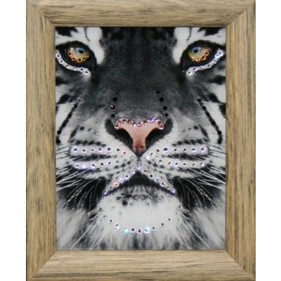 Картина Желтые глаза с крис...