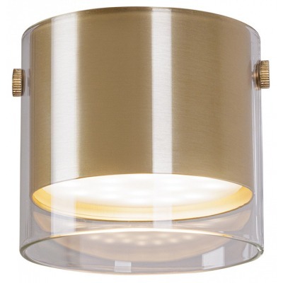 Накладной светильник Arte Lamp Lazio A5366PL-1SG AR_A5366PL-1SG