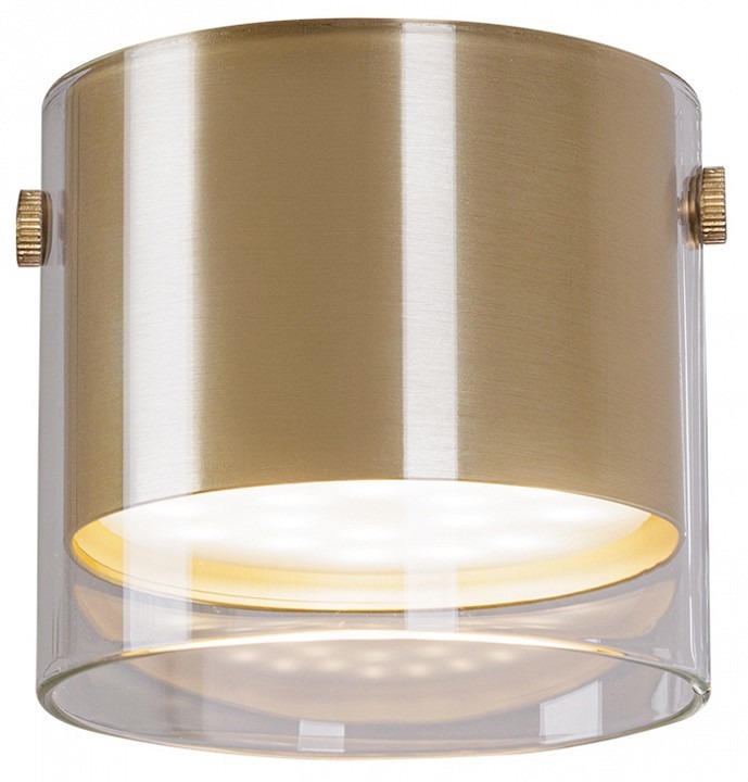 Фото Накладной светильник Arte Lamp Lazio A5366PL-1SG AR_A5366PL-1SG - интернет-магазин МегаТерем в Москве