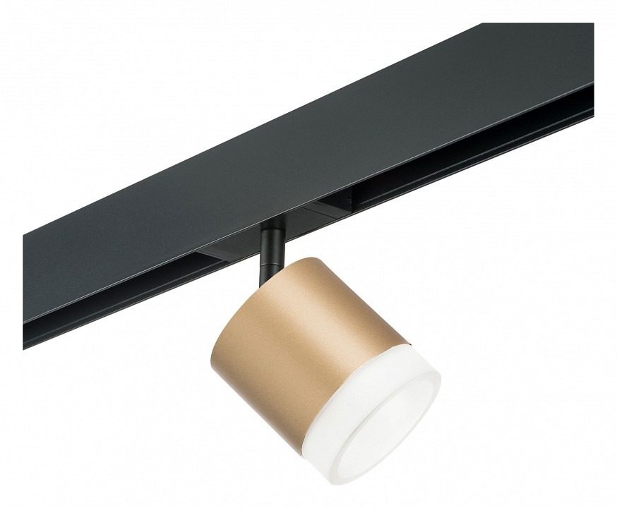 Фото Светильник на штанге Lightstar Rullo PRO349080 LS_PRO349080 - интернет-магазин МегаТерем в Москве