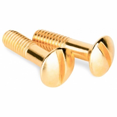 Винт Werkel Ретро (золото) ...