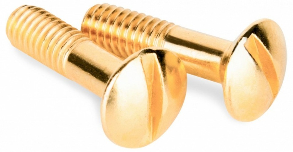 Фото Винт Werkel Ретро (золото) WL18-22-01 WRK_a038396 - интернет-магазин МегаТерем в Москве