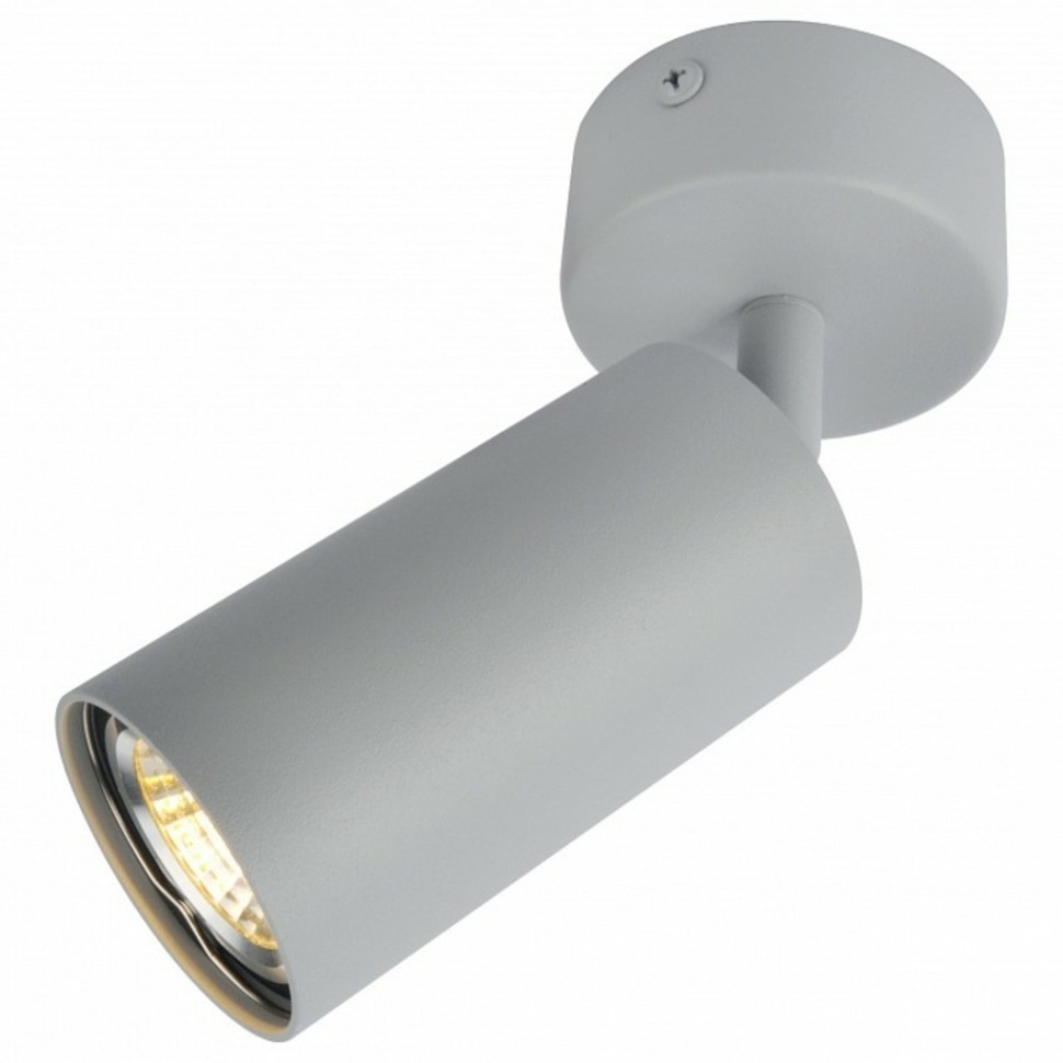 Фото Спот Arte Lamp Aquarius A3216PL-1GY AR_A3216PL-1GY - интернет-магазин МегаТерем в Москве