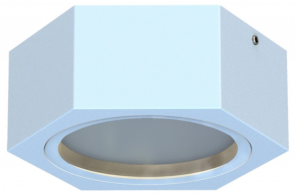 Фото Накладной светильник Favourite Fantum 4665-1U FV_4665-1U - интернет-магазин МегаТерем в Москве