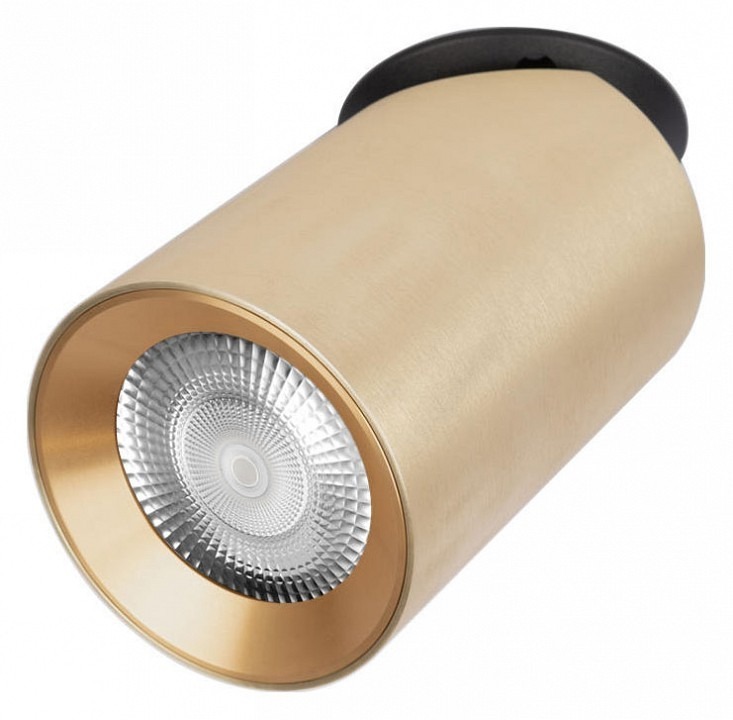 Фото Встраиваемый светильник Loft it Bar 10345 Gold LF_10345_Gold - интернет-магазин МегаТерем в Москве