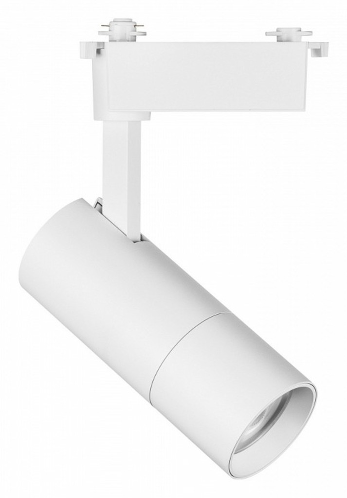 Фото Светильник на штанге Lightstar Volta 229236 LS_229236 - интернет-магазин МегаТерем в Москве