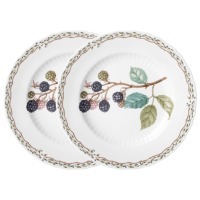 Набор тарелок закусочных lefard "fruit garden" 2 шт. 20,5 см (590-647) 