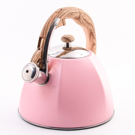 Фото Чайник со свистком 3 л WINNER (5062-1) - интернет-магазин МегаТерем в Москве