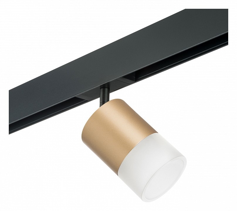 Фото Светильник на штанге Lightstar Rullo PRO349081 LS_PRO349081 - интернет-магазин МегаТерем в Москве