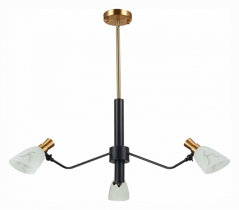 Фото Люстра на штанге EVOLUCE Lita SLE205403-03 EVO_SLE205403-03 - интернет-магазин МегаТерем в Москве