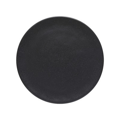 Тарелка RTP311-ARD(RTP311-V...