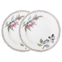 Набор тарелок обеденных lefard "fruit garden" 2 шт. 25,5 см (590-648) 