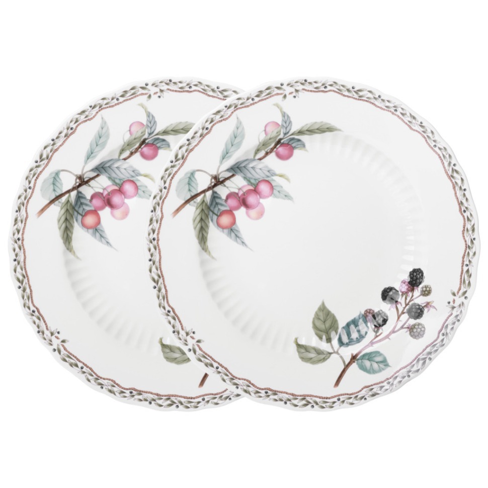 Фото Набор тарелок обеденных lefard fruit garden 2 шт. 25,5 см (590-648)  - интернет-магазин МегаТерем в Москве