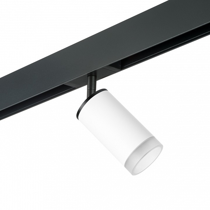 Фото Светильник на штанге Lightstar Rullo PRO43630 LS_PRO43630 - интернет-магазин МегаТерем в Москве