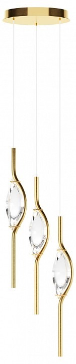 Фото Подвесной светильник Maytoni Foresight MOD347PL-L24BS3K MY_MOD347PL-L24BS3K - интернет-магазин МегаТерем в Москве