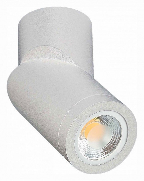 Фото Светильник на штанге ST-Luce ST650 ST650.502.01 - интернет-магазин МегаТерем в Москве