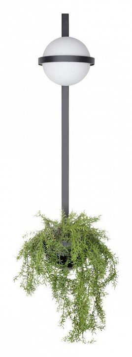 Фото Бра Loft it Jardin 10121W/B LF_10121W_B - интернет-магазин МегаТерем в Москве