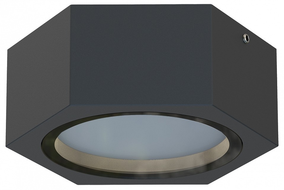 Фото Накладной светильник Favourite Fantum 4667-1U FV_4667-1U - интернет-магазин МегаТерем в Москве