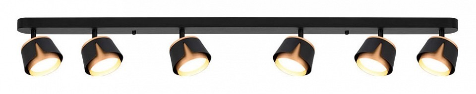 Фото Спот Arte Lamp Amaks A8028PL-6BK AR_A8028PL-6BK - интернет-магазин МегаТерем в Москве