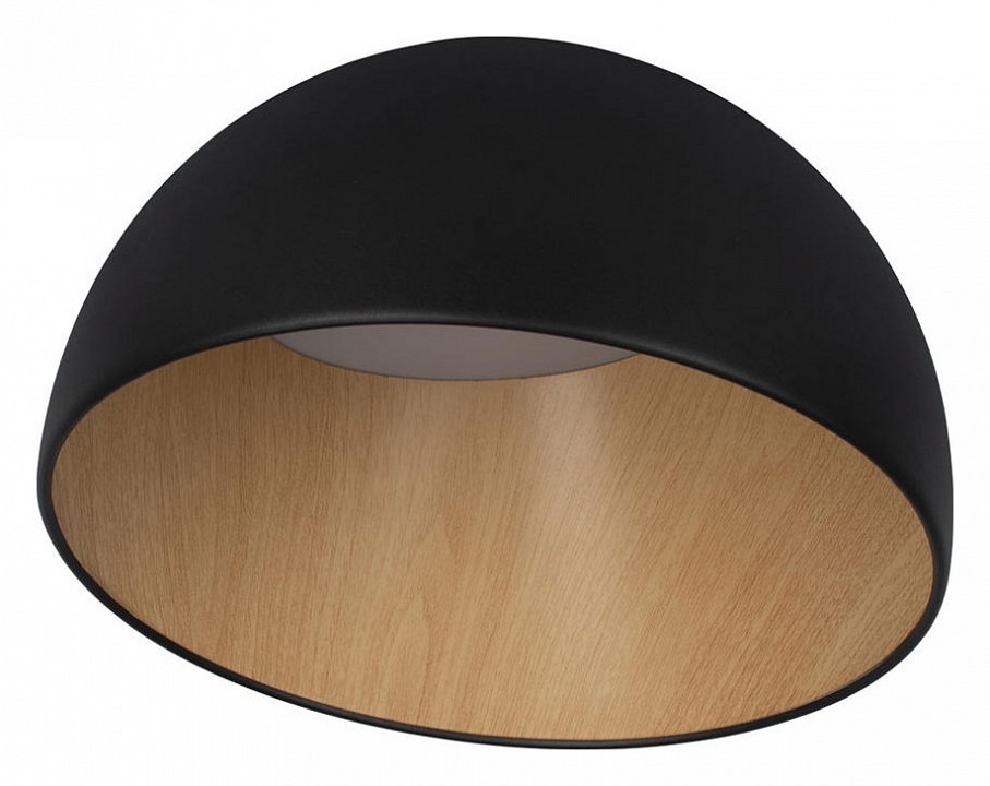 Фото Накладной светильник Loft it Egg 10197/350 Black LF_10197_350_Black - интернет-магазин МегаТерем в Москве
