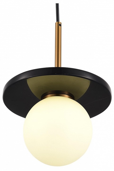 Фото Подвесной светильник ST-Luce Nebula SL1191.343.01 - интернет-магазин МегаТерем в Москве